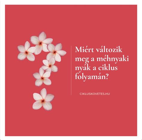 A méhnyaknyák ciklus alatti változásainak szemléltetése