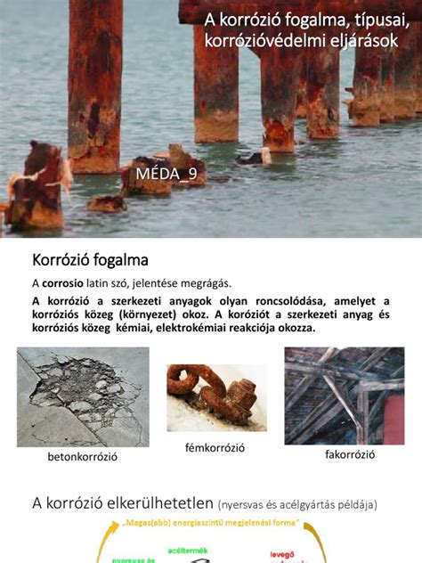 Infografika: Az agydaganat-műtétek különböző típusai és a koponyaeltávolítási eljárások illusztrációi