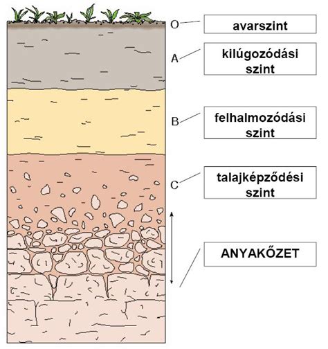 A talaj rétegei és a gilisztajáratok