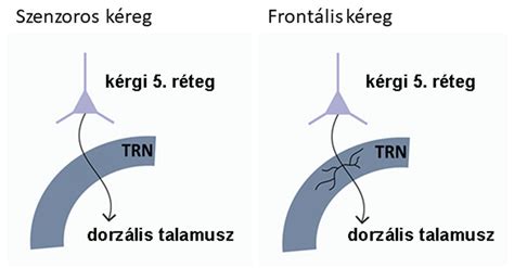 Sematikus ábra a hálózati hibák elhárításáról