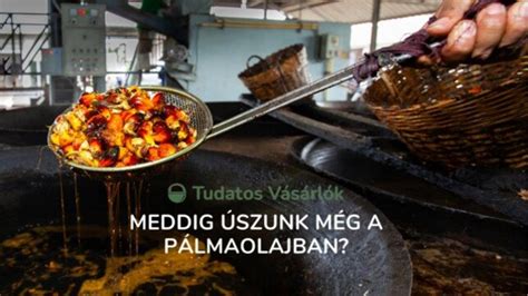 A Tudatos Vásárlók Egyesületének tesztelési eredményei