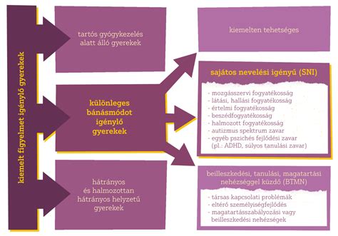 Terhességi időszakok és vitaminpótlás ütemezése