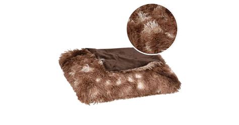 Megfázott kutya meleg takaró alatt