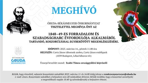 A háziorvosi és gyermekorvosi ellátás struktúráját bemutató ábra