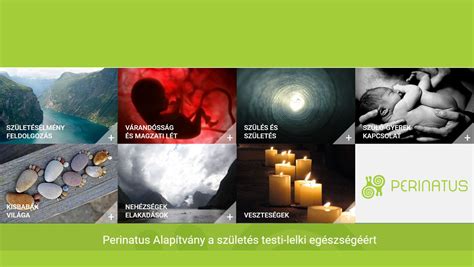 A perinatális veszteség komplexitását bemutató infografika: okok, érintettek és támogatási formák.