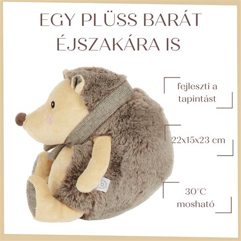 Süni poggyásszal, táborba indul
