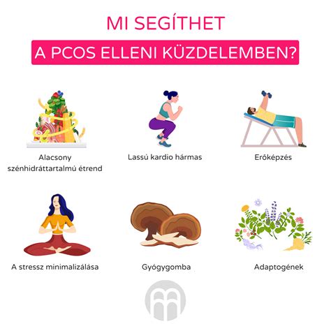 Infografika a PCOS tüneteiről és okairól