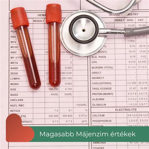 A májfunkció ellenőrzésének fontossága
