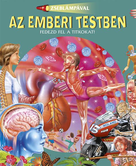 A mikrobiom eloszlása az emberi testben