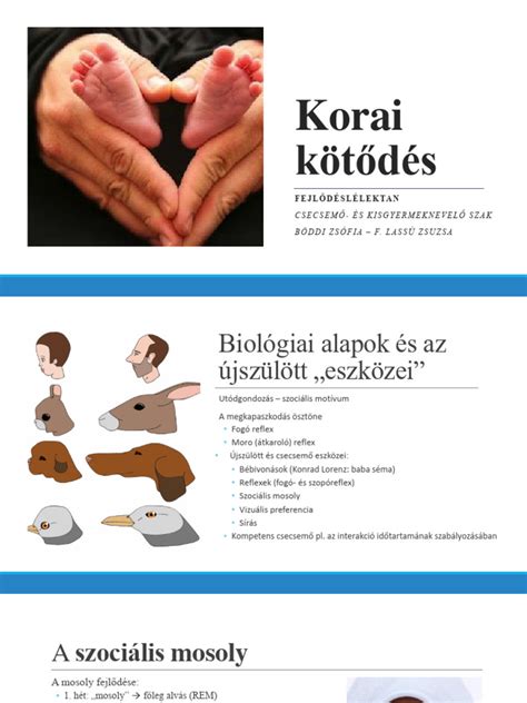 Gyermek korai fejlesztésen