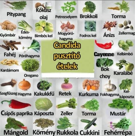 Étrend javaslat Candida fertőzés esetén
