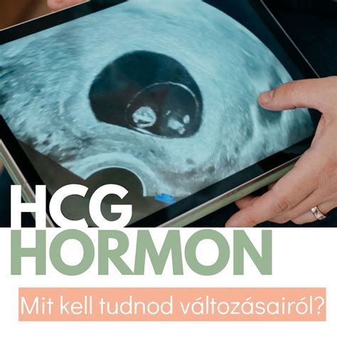 A HCG hormon szerepe a terhességi tesztekben