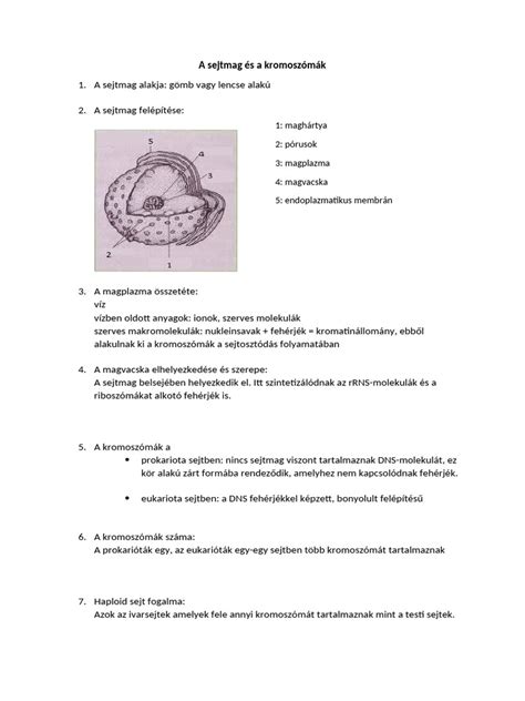 A kariotipizálás folyamatát, a kromoszómák rendezését és elemzését szemléltető diagram