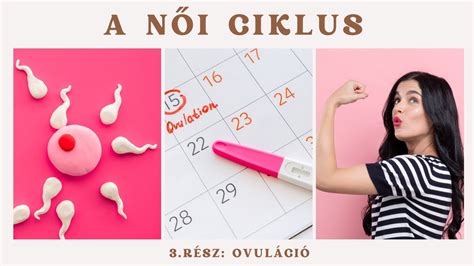 A női test jelzései ovuláció idején
