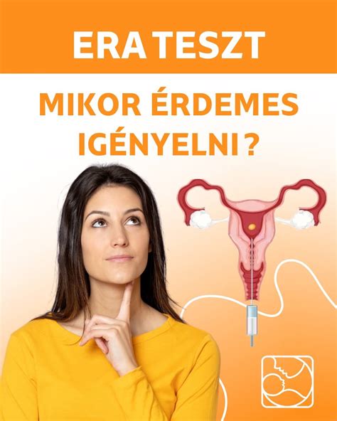 A méhnyálkahártya rétegei és az embrió beágyazódása