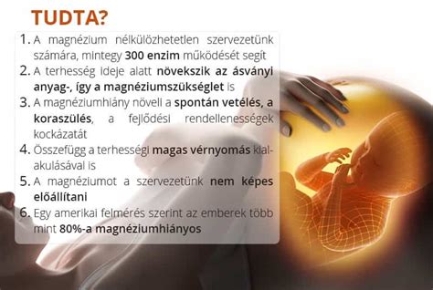 A magnézium hatása a terhesség alatt infographic