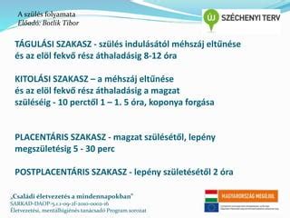 A méhszáj tágulási skálája