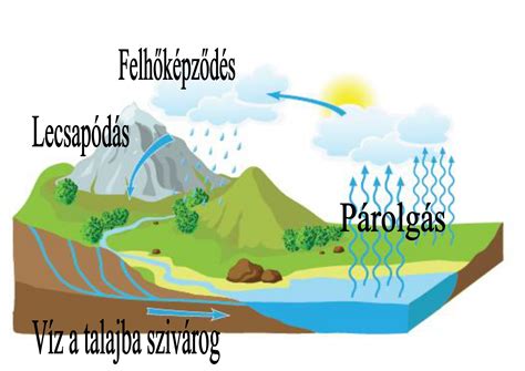 A vetélés gyakoriságát és az okokat bemutató infografika