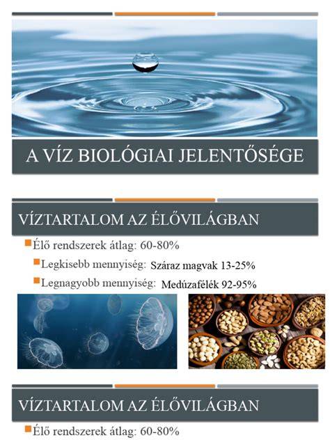 A méhnyálkahártya vastagságának jelentősége a beágyazódásban
