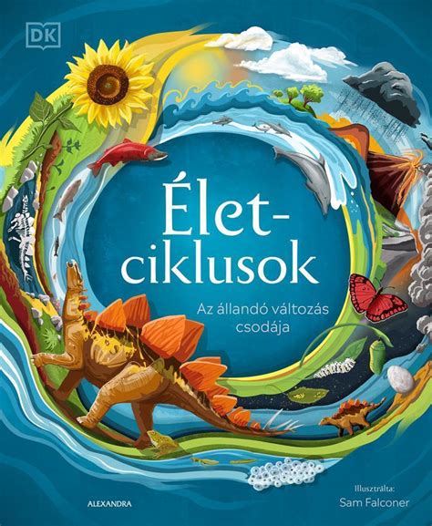 A női életciklusok és a vitaminigény