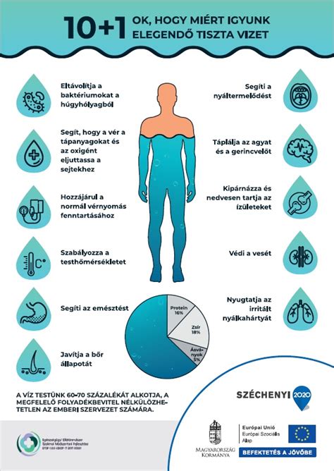 Egészséges szoptatási rutin és folyadékbevitel