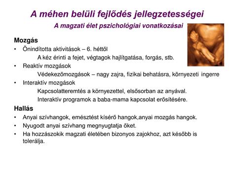 A magzati élet védelmének szimbólumai