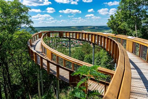 Lombkorona tanösvény panoráma