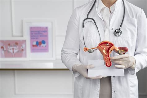 Az endometriózis érintett szerveit és elhelyezkedését bemutató anatómiai ábra