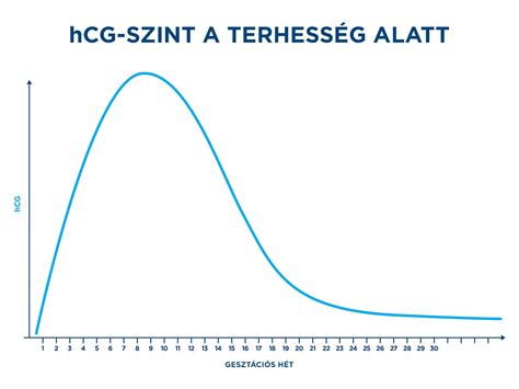 HCG hormon szint változása terhesség alatt