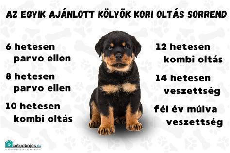 Kiskutya súlygyarapodási táblázat