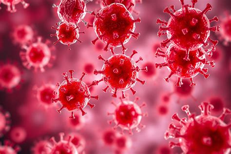 Illusztráció az immunrendszer működéséről lázas állapotban