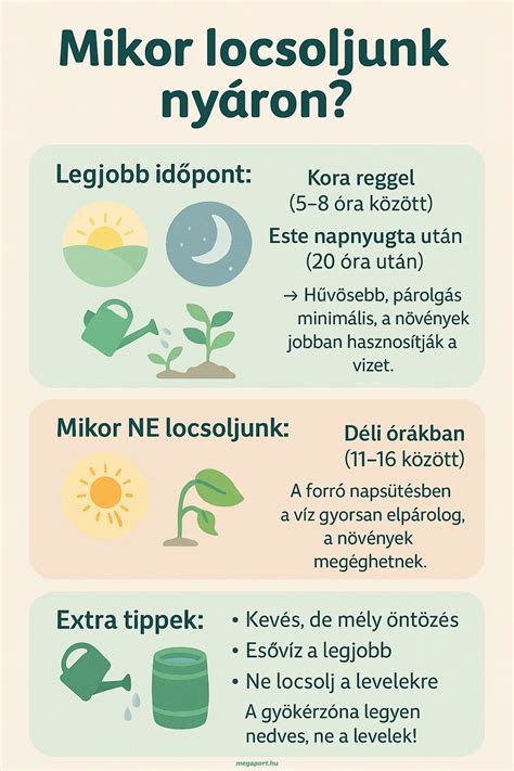Infografika a ferdenyak fő tüneteiről és kezelési módszereiről