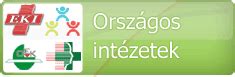 Védőnői informatikai rendszer