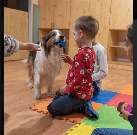 Terápiás kutya gyerekekkel az iskolában