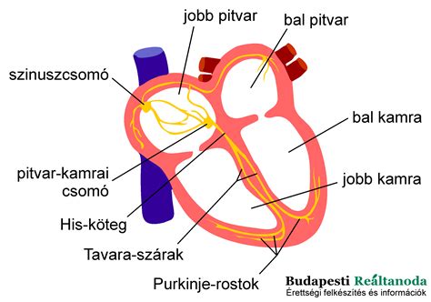 szív mint ajándék képe