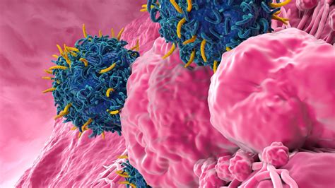 A cytomegalovírus terjedésének útjai