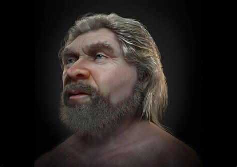 Neandervölgyi ember csontváz
