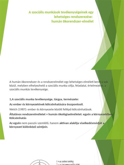 A szociális munkások által betölthető munkakörök áttekintése