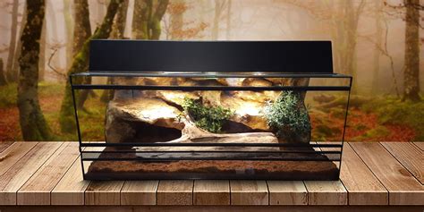 Terrárium felszerelés