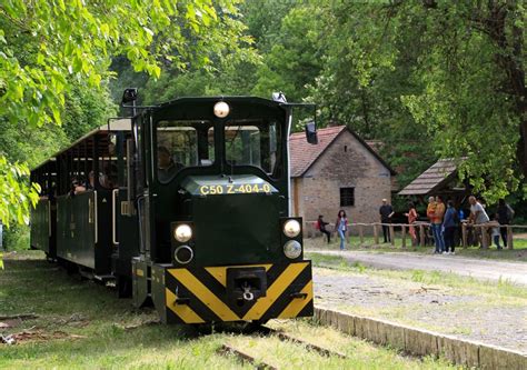Gemenci Erdei Vasút egy megállójánál