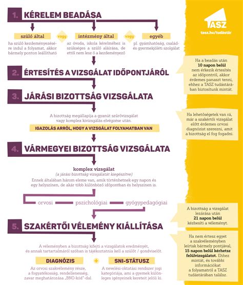 Orvosi vizsgálatokat és szakértői konzultációt ábrázoló infografika