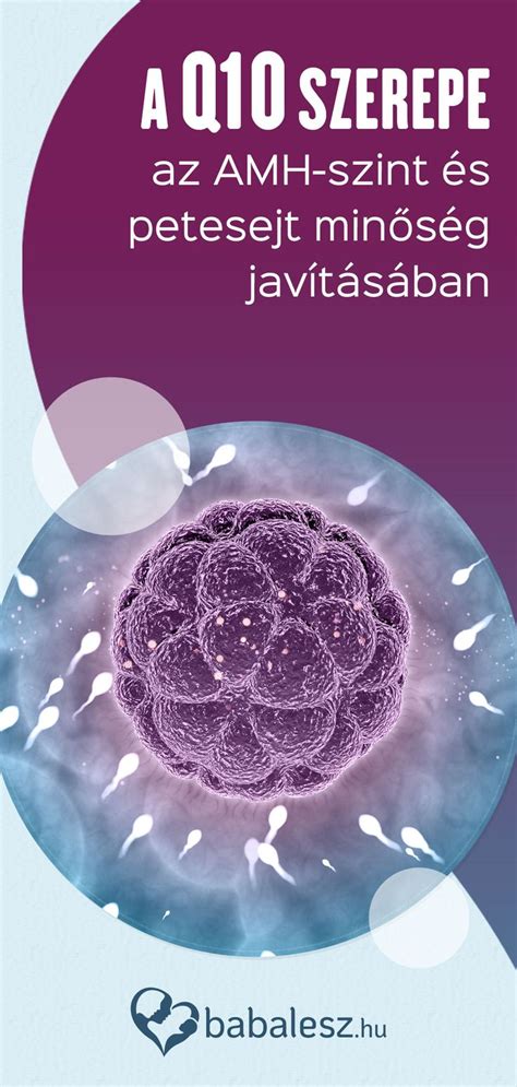AMH szint változása csokoládéciszta műtét után