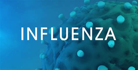 Influenza vírusszerkezet