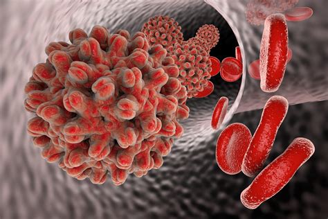 Hepatitis B vírus