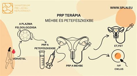 Petesejtleszívás és embrió beültetés menete