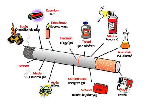 Infografika a dohányzás magzatra gyakorolt káros hatásairól