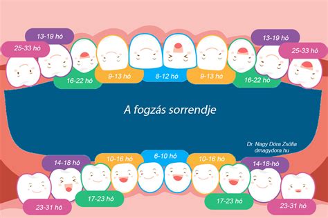 A fogzás sorrendje infografika