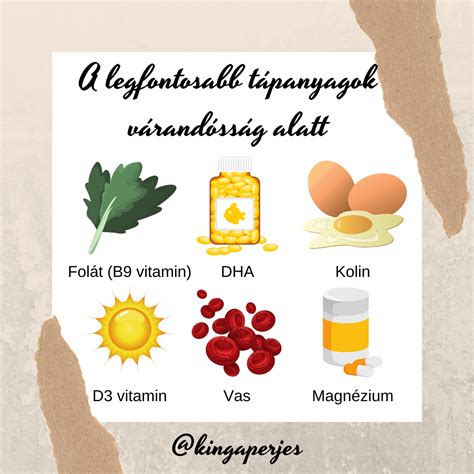 Várandósság alatti tápanyagok és hatásaik infografika