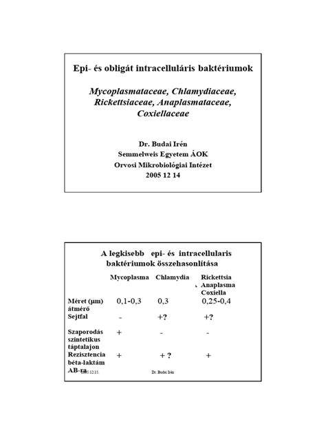 Infografika a baktériumok elleni küzdelemről