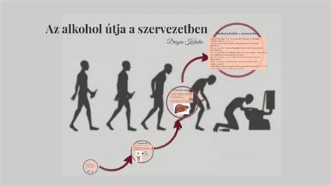 Az alkohol útja az anya szervezetétől a magzatig